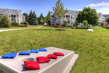 Corn Hole / Bags Game